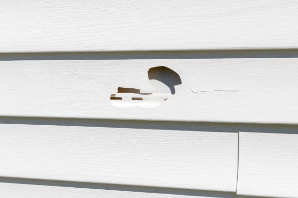 Best Same-Day Junk Removal Services  in Westview, FL